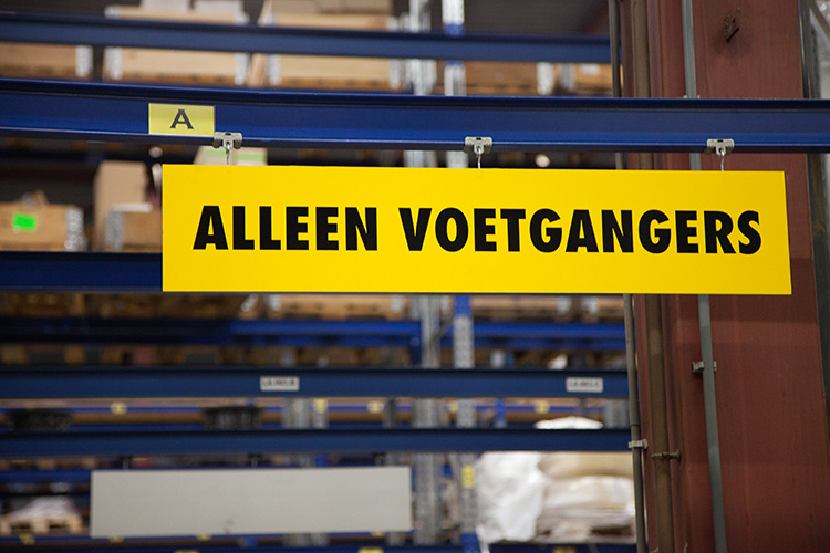 Kat Probeert de Uitgang te Vinden